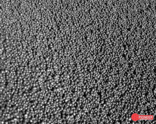 Calcined Petroleum Coke